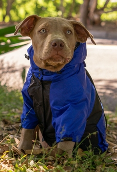 Anorak Impermeável Bluck