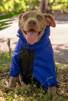 Anorak Impermeável Bluck - loja online