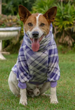 Suéter Fleece Xadrez Lavanda - comprar online