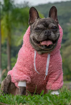 Moletom Sherpa Rosa - loja online