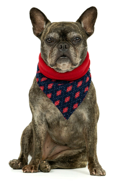 Bandana Dupla Face Argyle