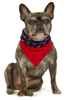 Bandana Dupla Face Argyle - Ammolite Pet Supply