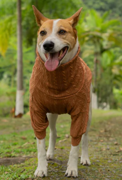 Suéter Tricô Camelo - loja online