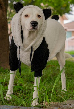 Moletom Panda