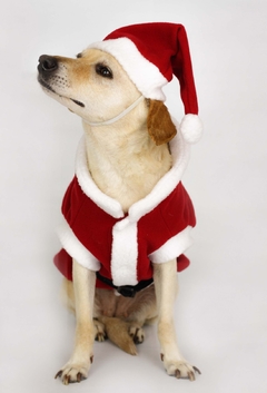 Casaco de Natal