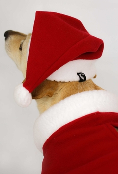 Gorro de Natal - Ammolite Pet Supply