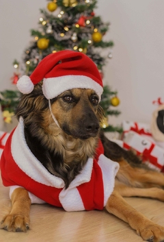Gorro de Natal - comprar online