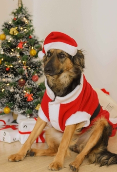 Casaco de Natal - Ammolite Pet Supply
