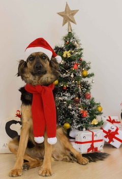Cachecol de Natal - loja online
