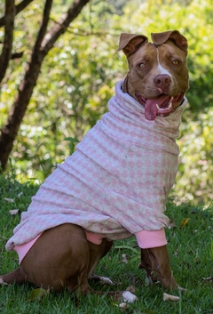 Suéter Argyle Rosa - Ammolite Pet Supply