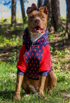 Moletom Raglan Argyle Vermelho