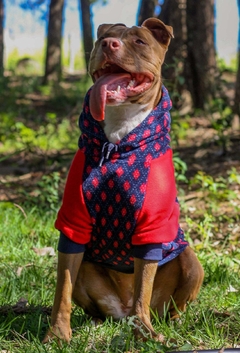 Moletom Raglan Argyle Vermelho na internet