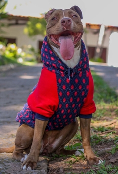 Moletom Raglan Argyle Vermelho - loja online