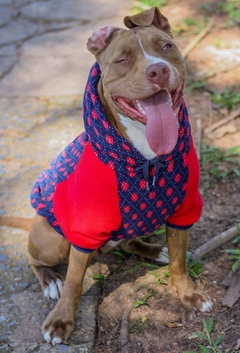 Imagem do Moletom Raglan Argyle Vermelho