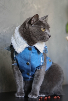 Colete Jeans Furry na internet