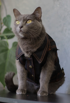 Colete Jeans Raw - loja online
