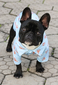 Camisa Lobster - Ammolite Pet Supply