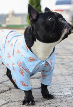 Imagem do Camisa Lobster