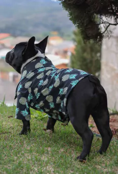 Camisa Pineapple na internet