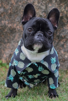 Camisa Pineapple
