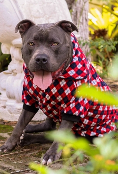 Fleece Argyle - Ammolite Pet Supply