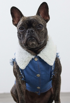 Colete Jeans Furry - comprar online