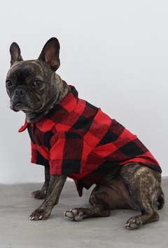 Camisa Carnelian - Ammolite Pet Supply
