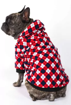 Moletom Argyle - comprar online