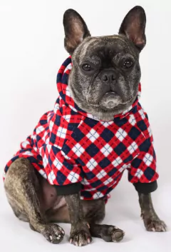 Moletom Argyle na internet