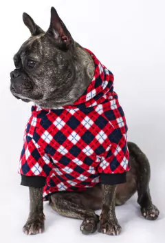 Moletom Argyle - loja online
