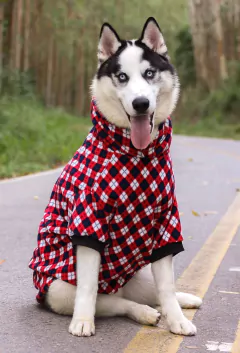 Moletom Argyle