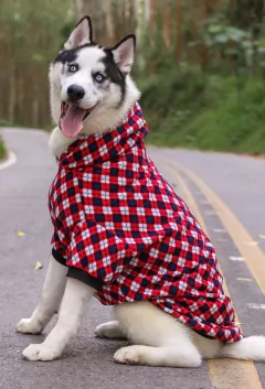 Moletom Argyle - comprar online