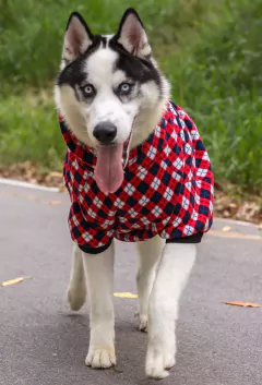 Moletom Argyle na internet