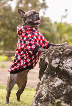 Moletom Argyle - loja online