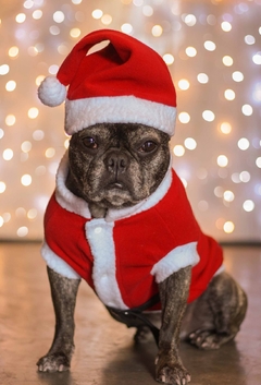 Casaco de Natal - comprar online