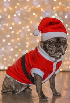 Casaco de Natal na internet