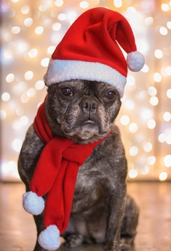 Cachecol de Natal na internet
