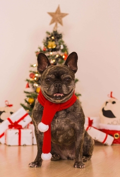 Cachecol de Natal