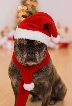 Gorro de Natal - loja online