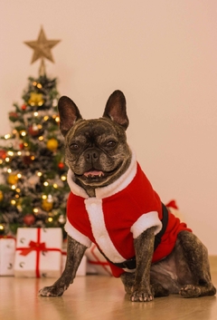 Casaco de Natal na internet