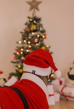 Imagem do Gorro de Natal
