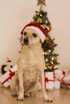 Gorro de Natal