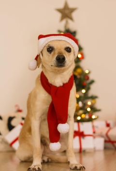 Cachecol de Natal - comprar online