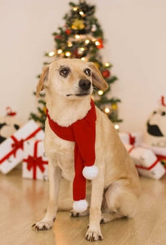 Cachecol de Natal na internet