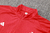 Conjunto Agasalho Treino Internacional 2024/2025 Vermelho e Vinho Adidas Masculino na internet
