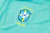Blusa de Viagem Brasil 2024/2025 Verde Clara Nike Masculino - loja online