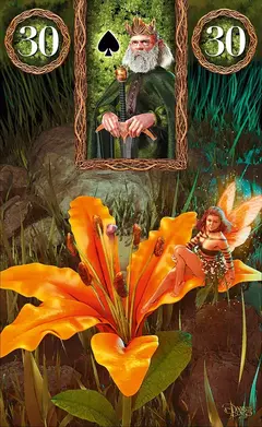 Fairy Lenormand en internet