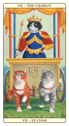Marseille Cat - Tarot - comprar online
