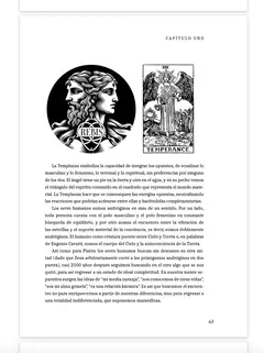 Astrohología Volumen tres. El viaje del alma a través de los vínculos - Libro en internet