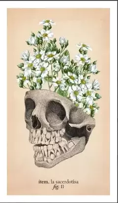 De anatomia y botanica antiguas Tarot - Witchie Vibes